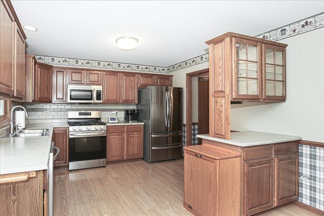 2039 Belvidere Line Drive, Elgin, IL 60123