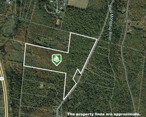0 Big Woods Road, Harris, NY 12742
