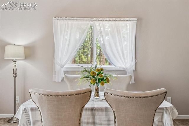 8725 Kirk Drive, Colorado Springs, CO 80908