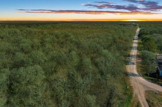 TBD Tr 19e2a Cr647, Guy, TX 77444