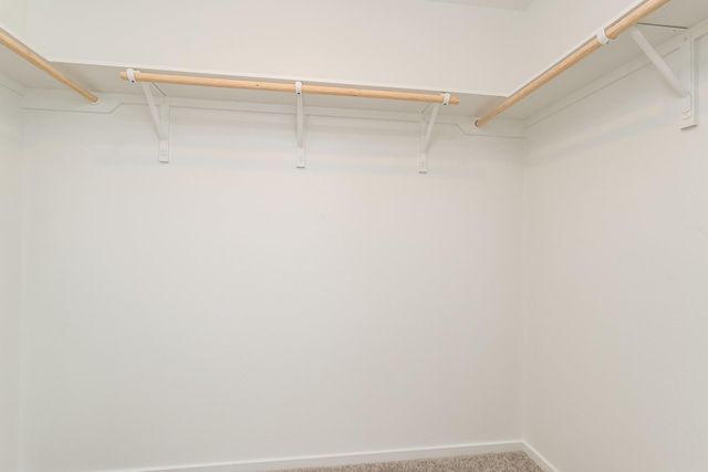 10814 Bird Of Paradise Lane, Houston, TX 77016