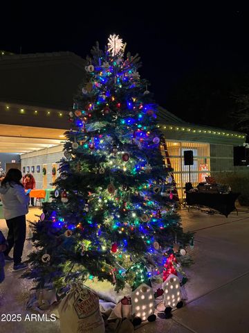 915 W Grand Caymen Drive, Gilbert, AZ 85233