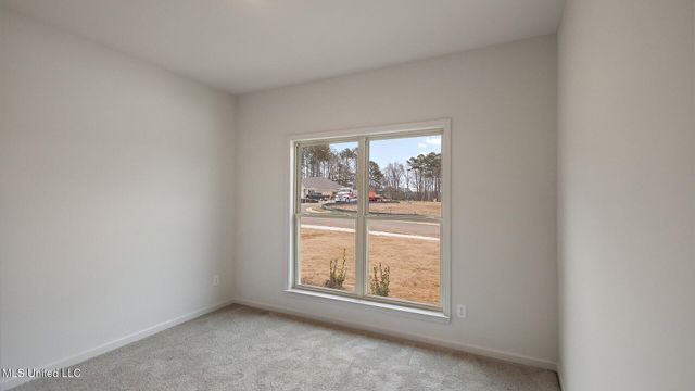 724 Honeysuckle Loop, Canton, MS 39046
