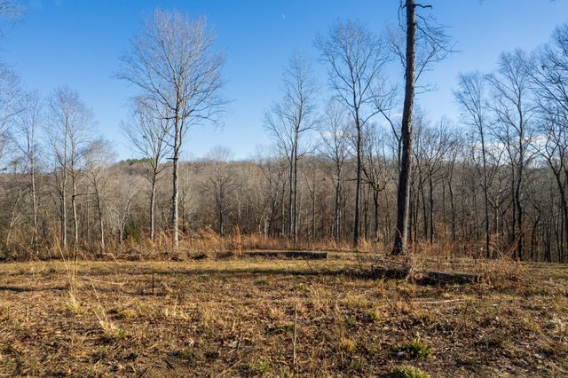 164 Lewis Cir, Dover, TN 37058