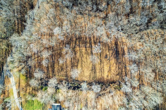 164 Lewis Cir, Dover, TN 37058