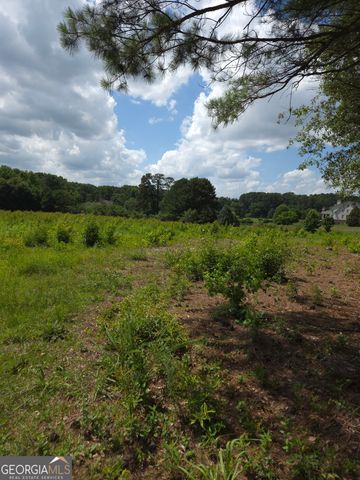 0 Trickum Creek Road, Tyrone, GA 30290