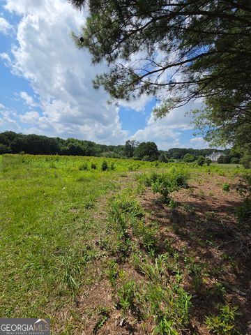0 Trickum Creek Road, Tyrone, GA 30290