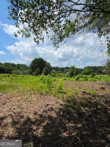 0 Trickum Creek Road, Tyrone, GA 30290