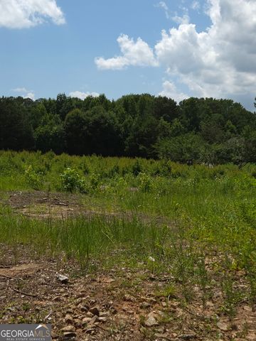 0 Trickum Creek Road, Tyrone, GA 30290