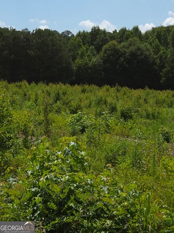 0 Trickum Creek Road, Tyrone, GA 30290