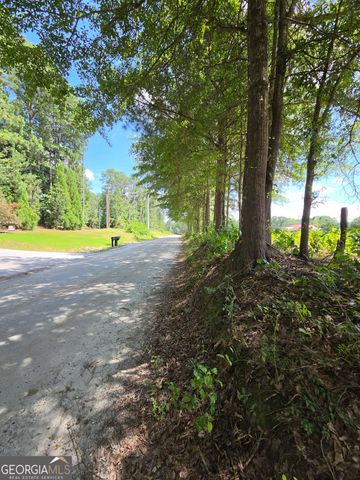 0 Trickum Creek Road, Tyrone, GA 30290