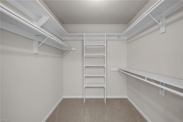 4109 Bayford CT, Chesapeake, VA 23321