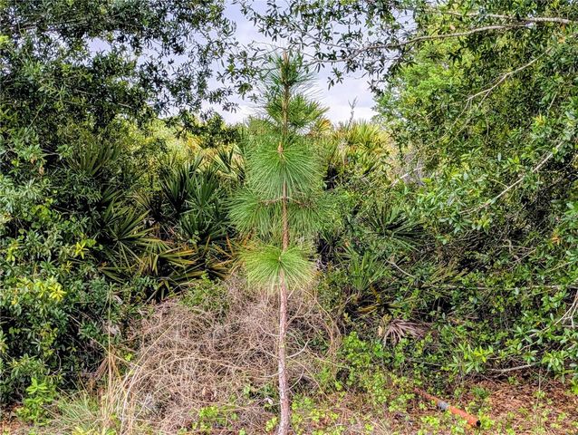 CALLAGHAN LANE, North Port, FL 34291