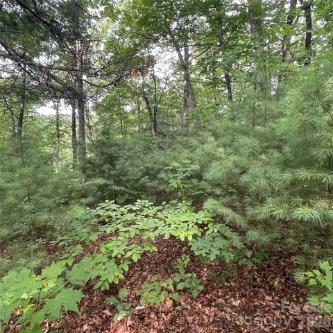 0 Mulberry Divide, Zirconia, NC 28790