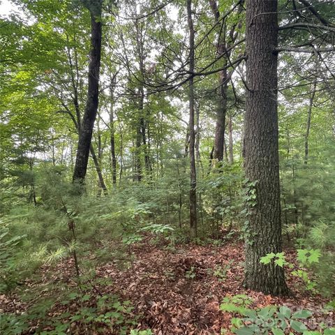 0 Mulberry Divide, Zirconia, NC 28790