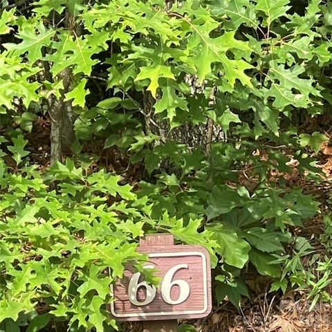 0 Mulberry Divide, Zirconia, NC 28790