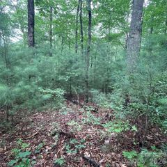 0 Mulberry Divide, Zirconia, NC 28790