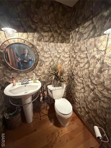 853 Twisted Cedar Drive, Beaufort, MO 63013