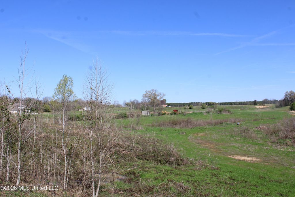 12 Barton Desoto Road, Olive Branch, MS 38654 — photo 3