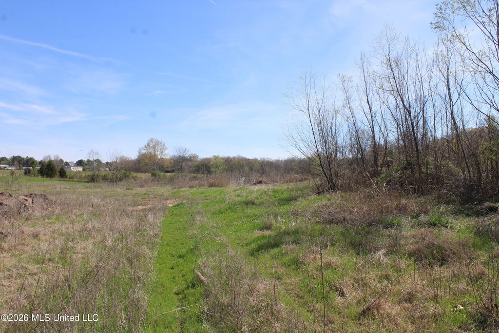 12 Barton Desoto Road, Olive Branch, MS 38654 — photo 5