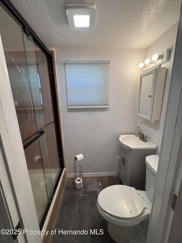 6028 Palm Creek Drive, Weeki Wachee, FL 34607