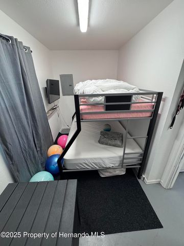 6028 Palm Creek Drive, Weeki Wachee, FL 34607