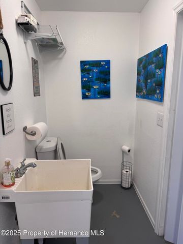 6028 Palm Creek Drive, Weeki Wachee, FL 34607