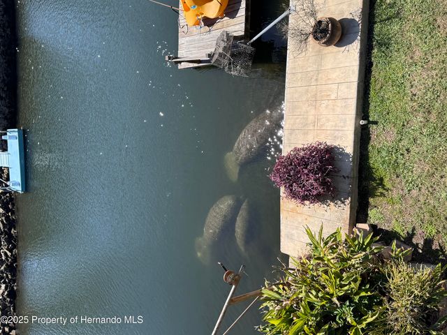 6028 Palm Creek Drive, Weeki Wachee, FL 34607