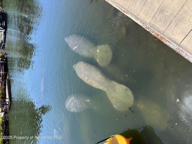 6028 Palm Creek Drive, Weeki Wachee, FL 34607