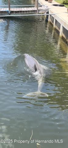 6028 Palm Creek Drive, Weeki Wachee, FL 34607