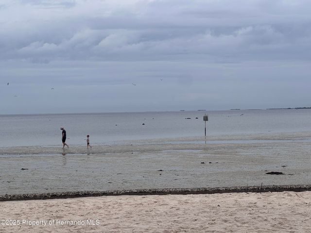 6028 Palm Creek Drive, Weeki Wachee, FL 34607