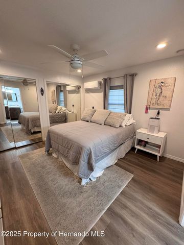 6028 Palm Creek Drive, Weeki Wachee, FL 34607