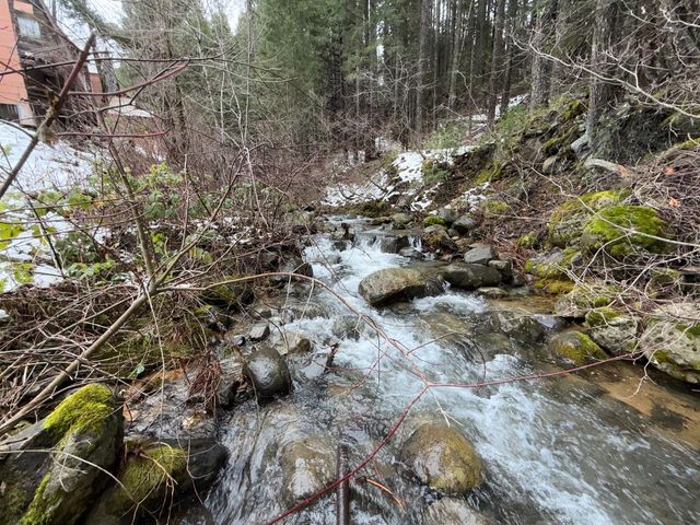 208 Main St, Alleghany, CA 95910