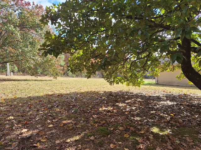 538 Mount Nebo Rd, Iron City, TN 38463