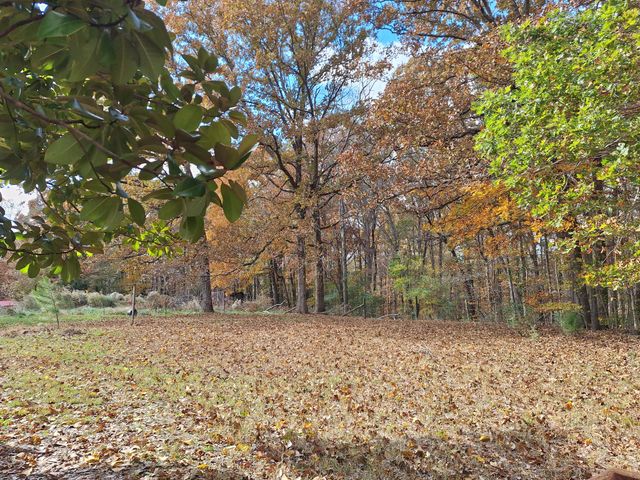 538 Mount Nebo Rd, Iron City, TN 38463