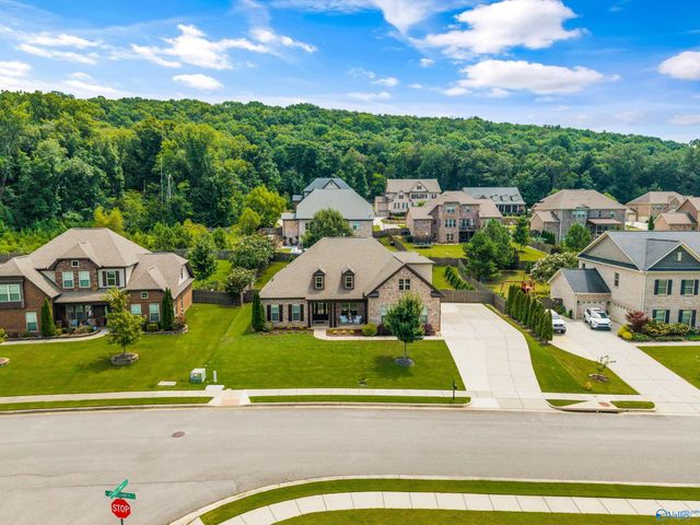 7008 Jane Elizabeth Drive, Owens Cross Roads, AL 35763