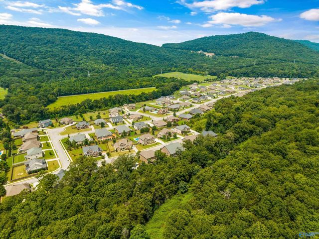 7008 Jane Elizabeth Drive, Owens Cross Roads, AL 35763