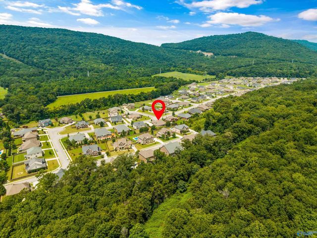 7008 Jane Elizabeth Drive, Owens Cross Roads, AL 35763