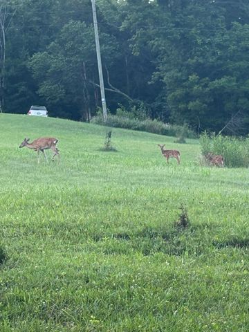 6357 Cecil Fields Road, Union, KY 41091