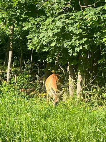 6357 Cecil Fields Road, Union, KY 41091