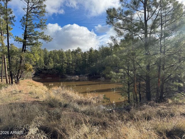 5094 N JAMES Circle, Pine, AZ 85544