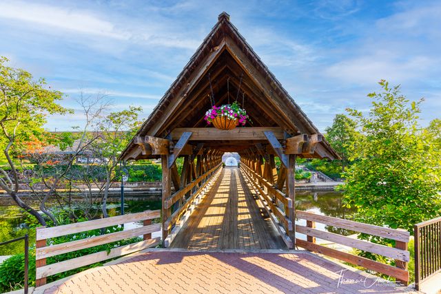 203 S Columbia Street, Naperville, IL 60540