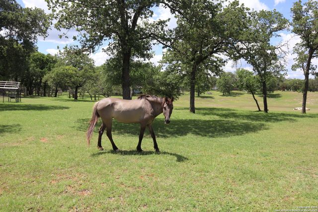 97 Segner, Fredericksburg, TX 78624