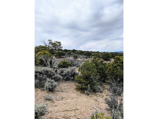 3589 Freylinghuysen Rd, Fort Garland, CO 81133
