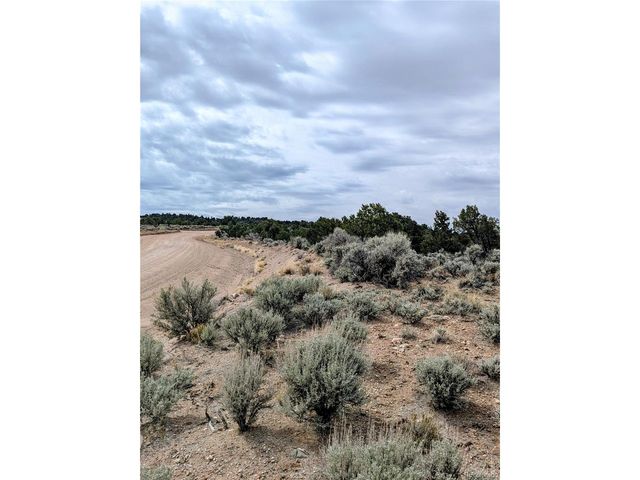 3589 Freylinghuysen Rd, Fort Garland, CO 81133