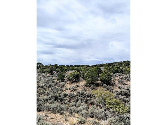 3589 Freylinghuysen Rd, Fort Garland, CO 81133
