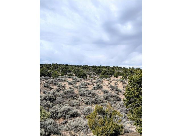 3589 Freylinghuysen Rd, Fort Garland, CO 81133