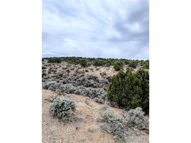3589 Freylinghuysen Rd, Fort Garland, CO 81133