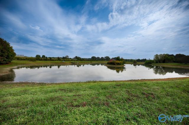 15 acres Slaughter Pen Road, Ardmore, TN 38449