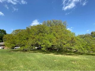 1819 Y U Jones Road, Richmond, TX 77469